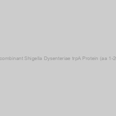 Image of Recombinant Shigella Dysenteriae trpA Protein (aa 1-268)